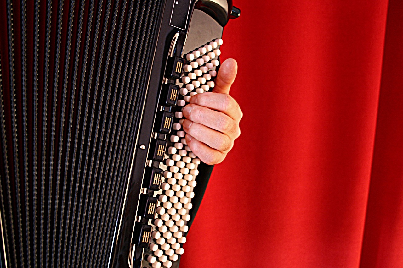Accordion Backstraps